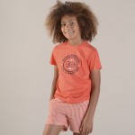 Terracotta Terracotta