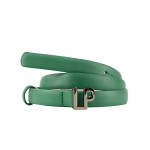 Petrol Green Petrol Green