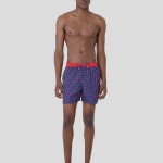 Shorts de Baño Leones