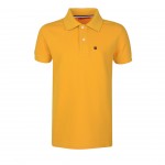 Yellow Brown Yellow Brown