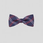 Checked bow tie