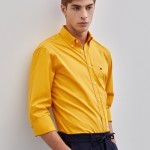 Camisa popelina regular fit