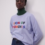 Sweatshirt with multicolor embroidery