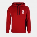Man's cotton sweatshirt with hood and side stripes