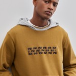 Cotton sweatshirt with hood and print