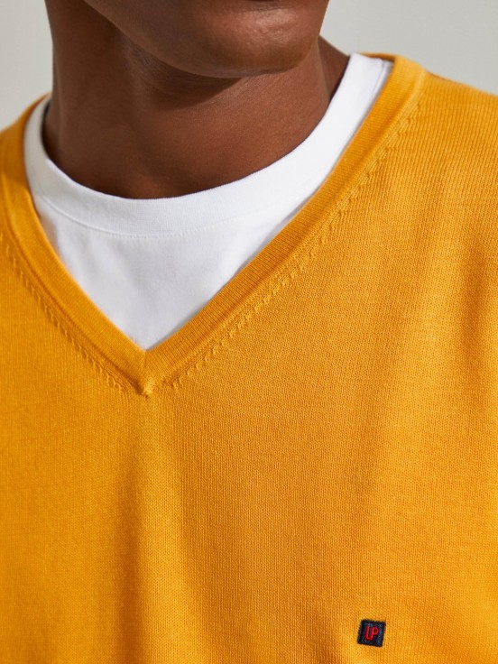 Man's cotton v-neck basic t-shirt