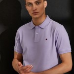 Man's regular fit polo shirt made of cotton with embroidery