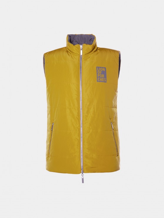 Reversible vest