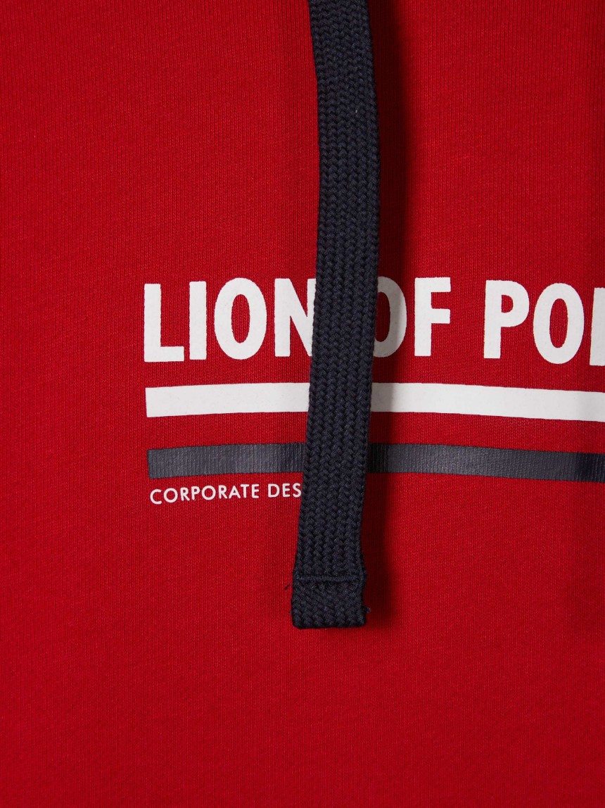 Sweatshirt com capuz