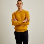 Yellow Brown