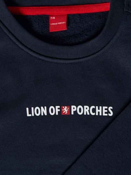 Lion of Porches Sweater