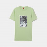 639 Verde
