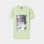 639 Verde