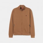 Beige Camel