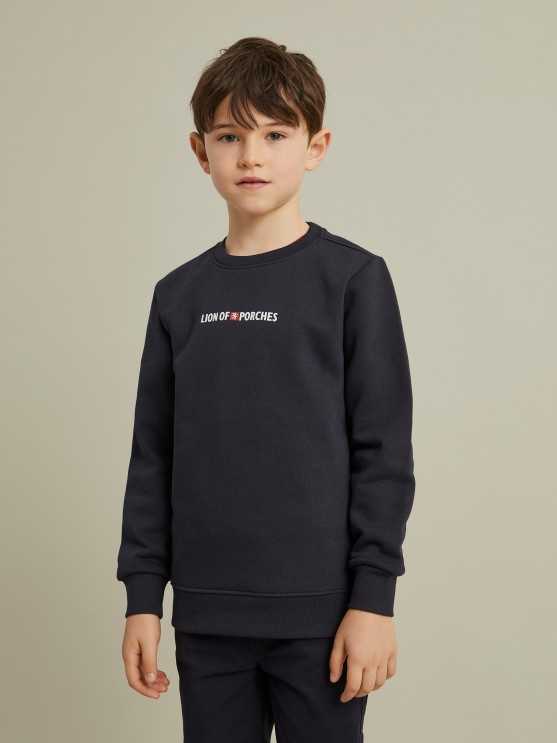Lion of Porches Sweater