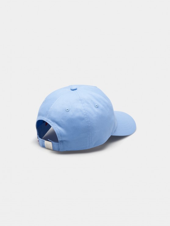 Lion of Porches Cap