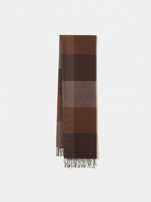 Tricolor scarf