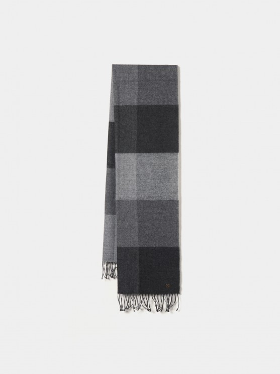 Tricolor scarf