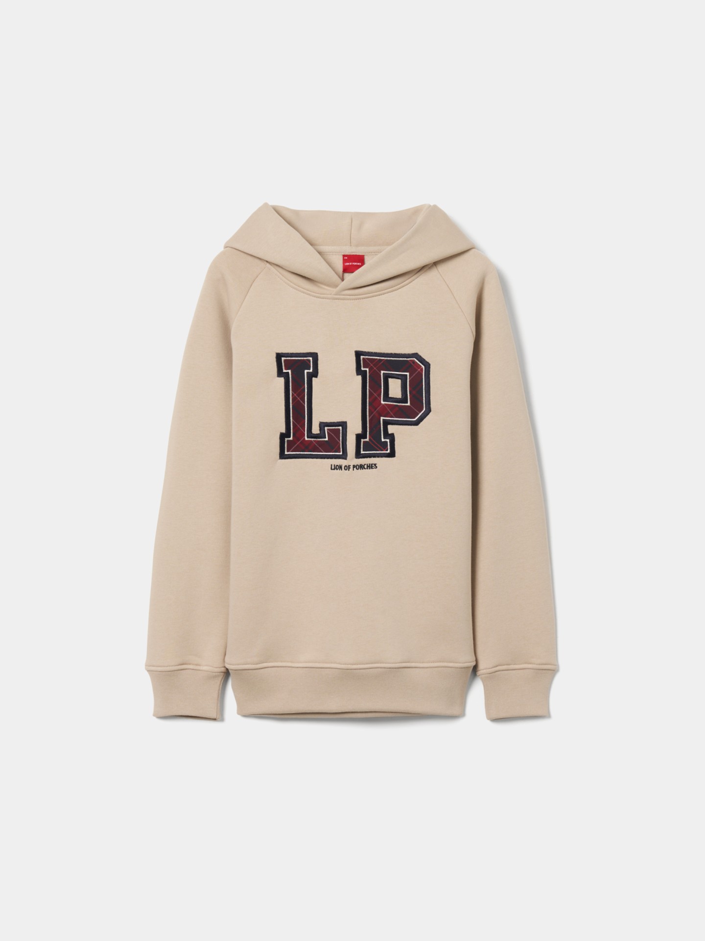 Sweater com capuz