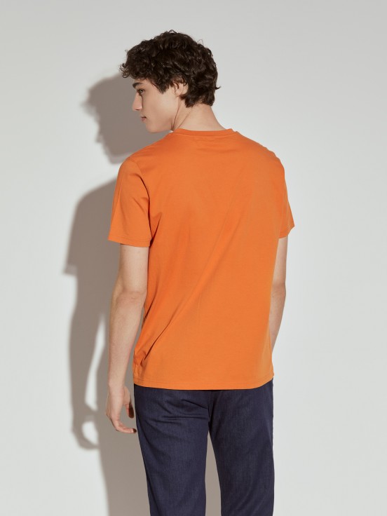T-shirt manga curta Lion of Porches