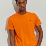 250 Laranja