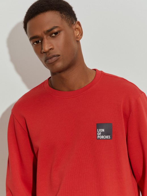 Sweater bsica de algodo