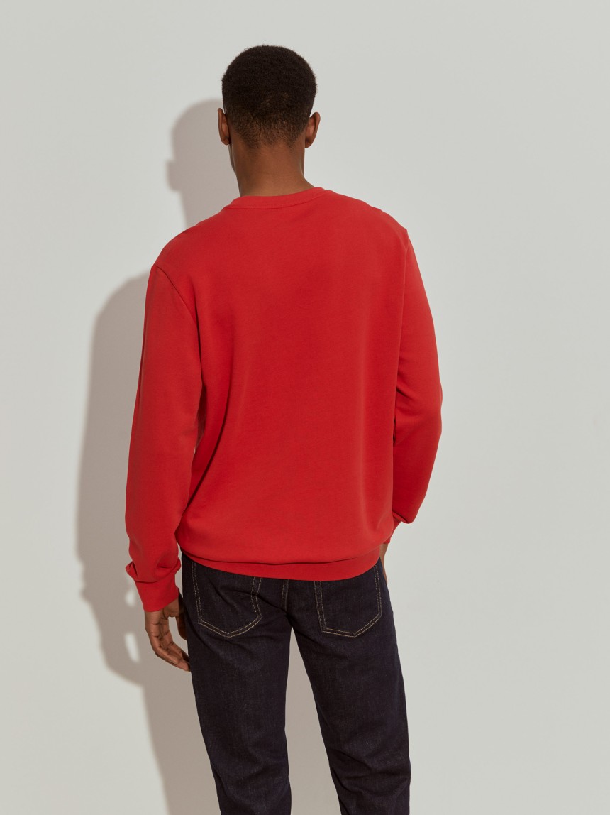 Basic cotton sweater
