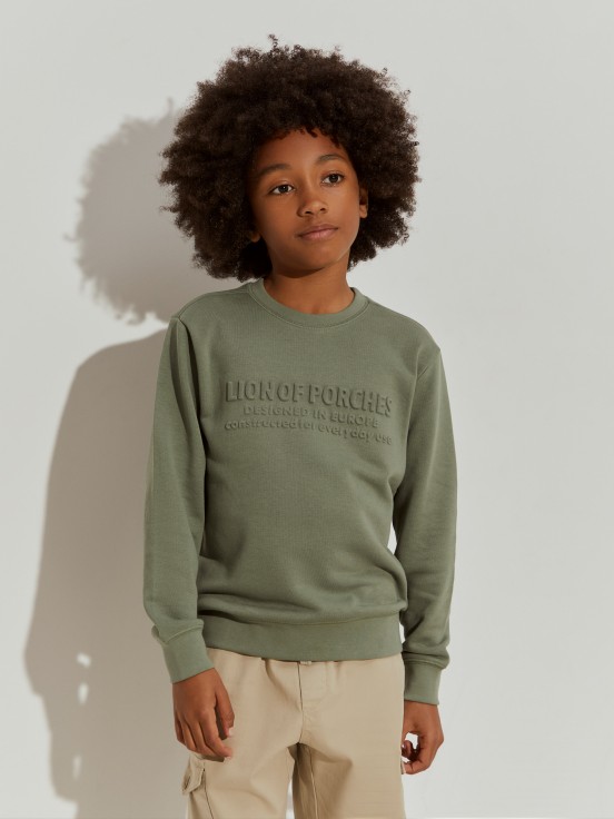 Sweater Lion of Porches