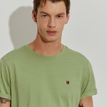 Verde Alface
