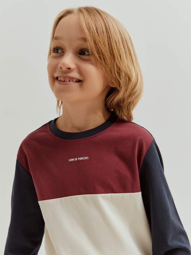 Sweater tricolor