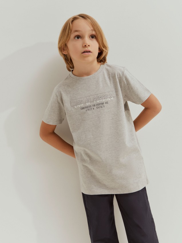 T-shirt Lion of Porches