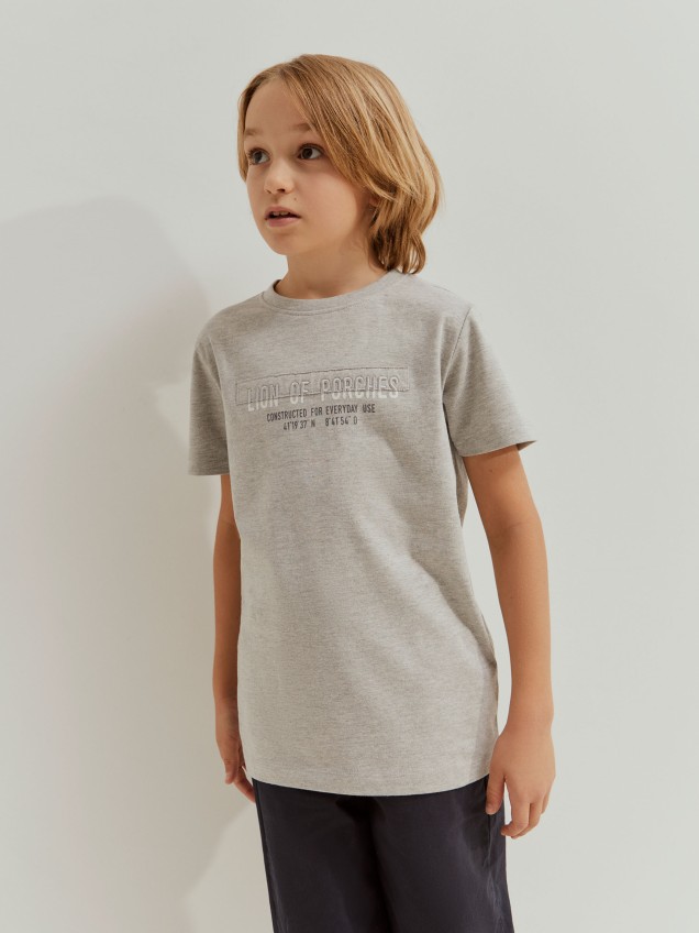 T-shirt Lion of Porches