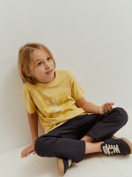 T-shirt Lion of Porches