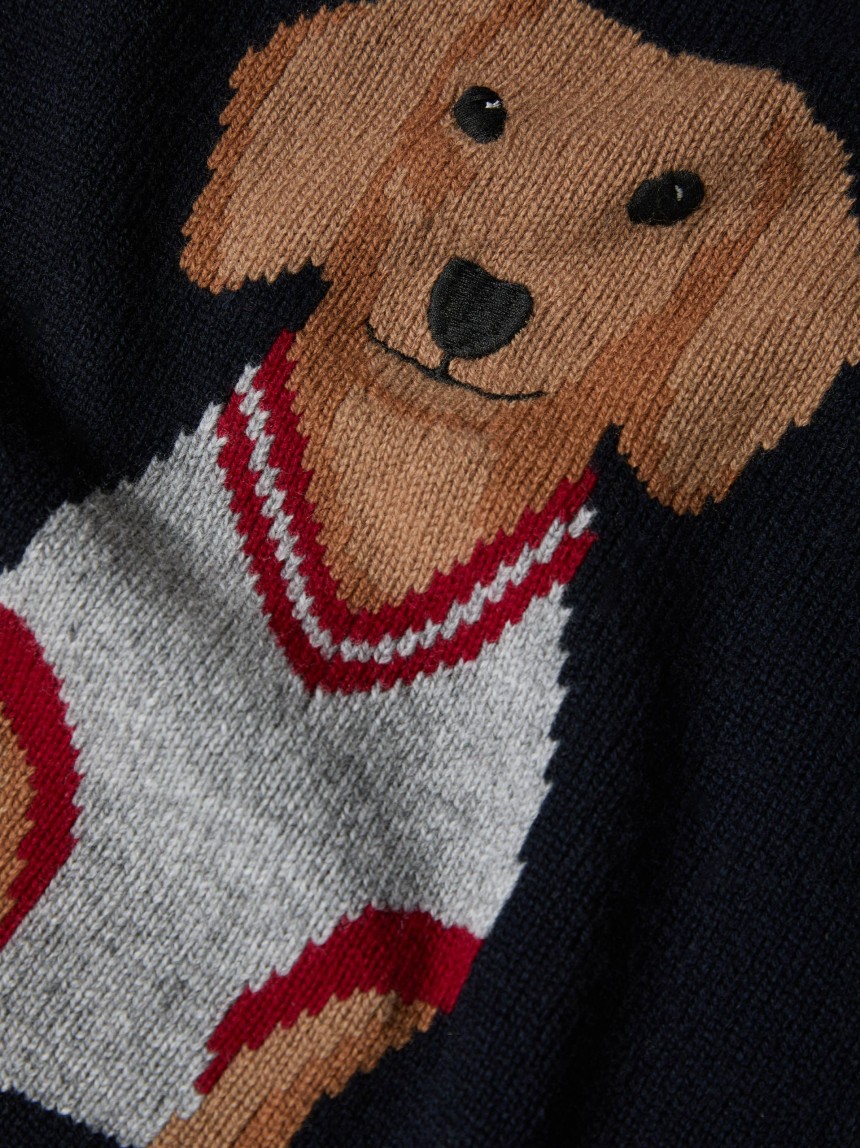 Jersey de lana con Teckel