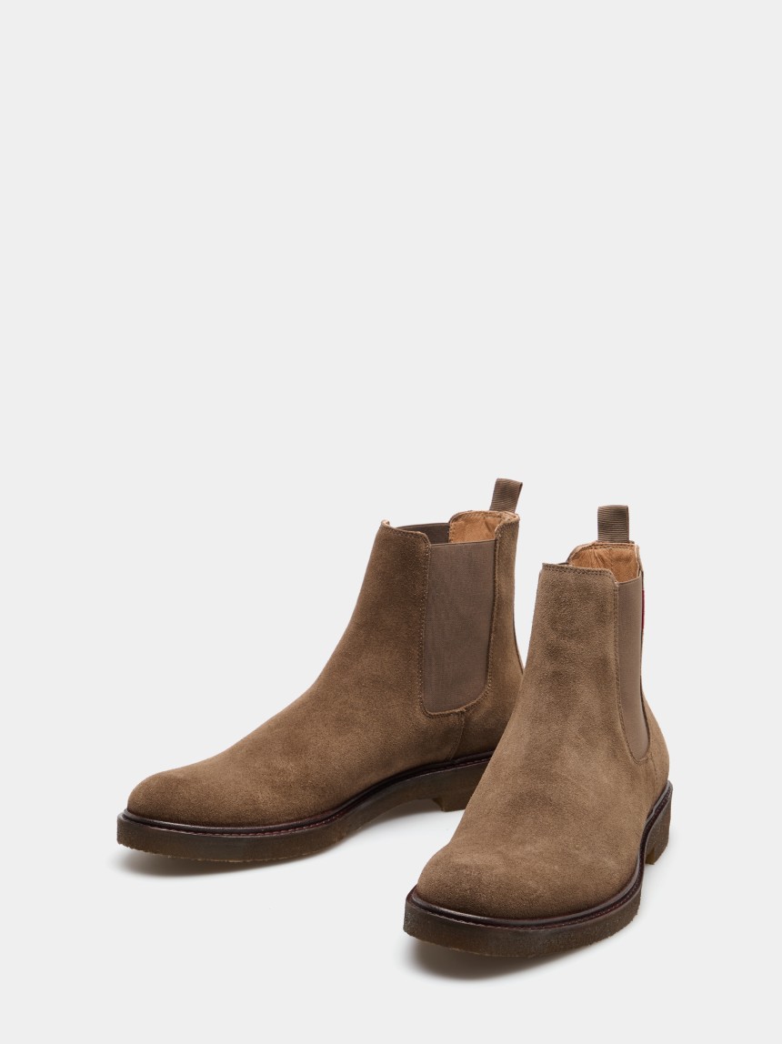 Bota