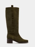 Bota