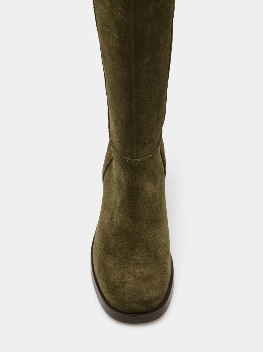 Bota