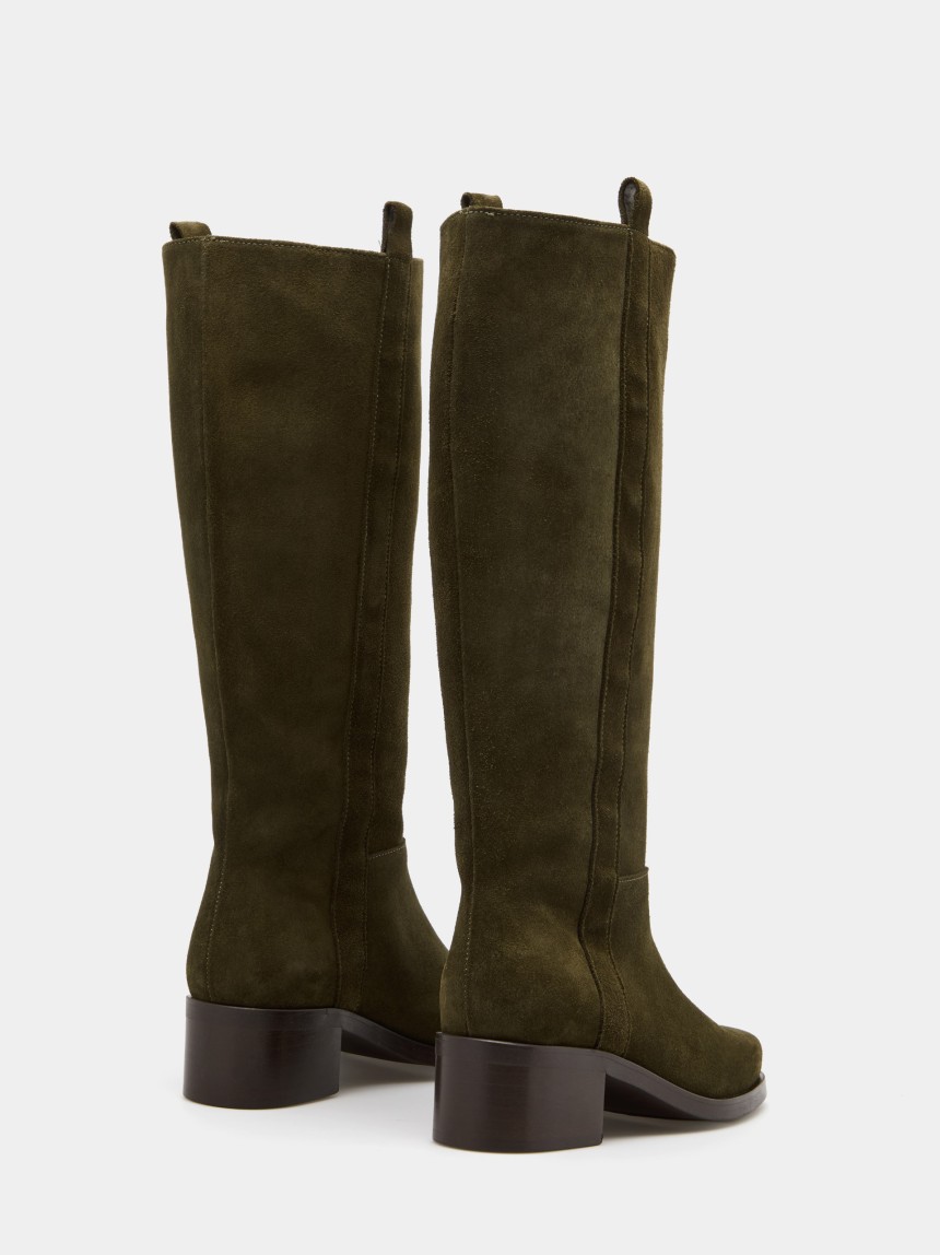 Bota
