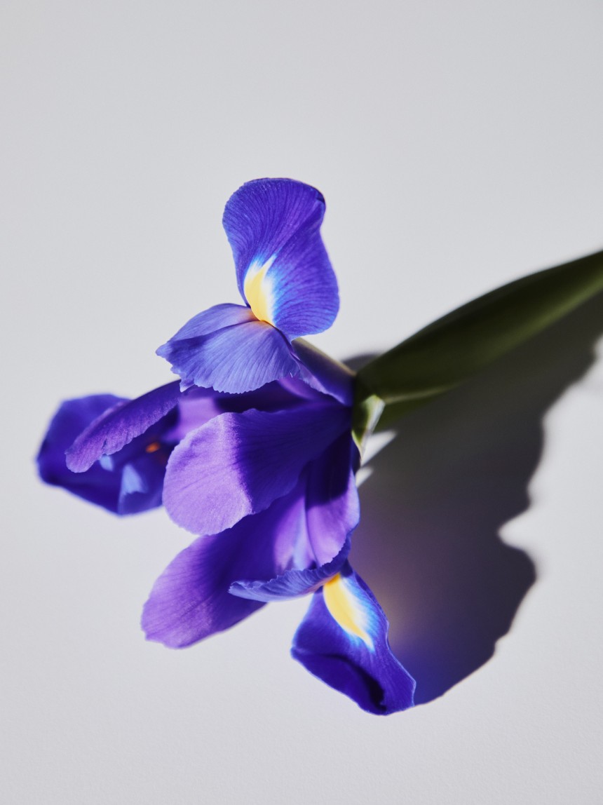 Perfume Elegant Sea
